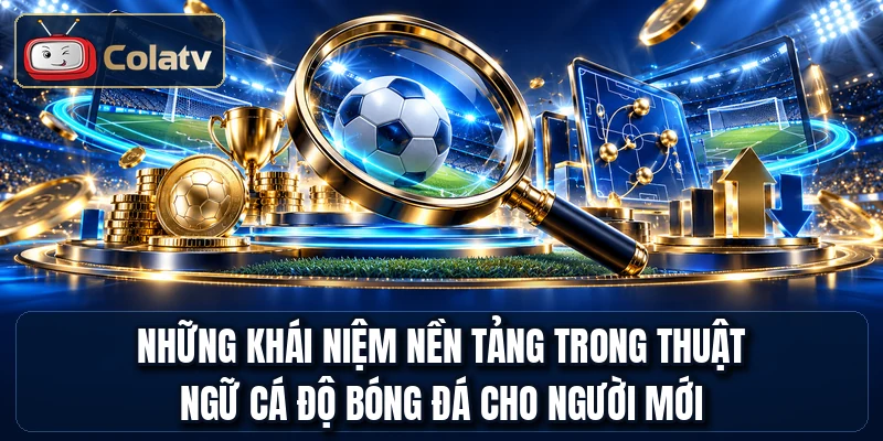 Những khái niệm nền tảng trong thuật ngữ cá độ bóng đá cho người mới